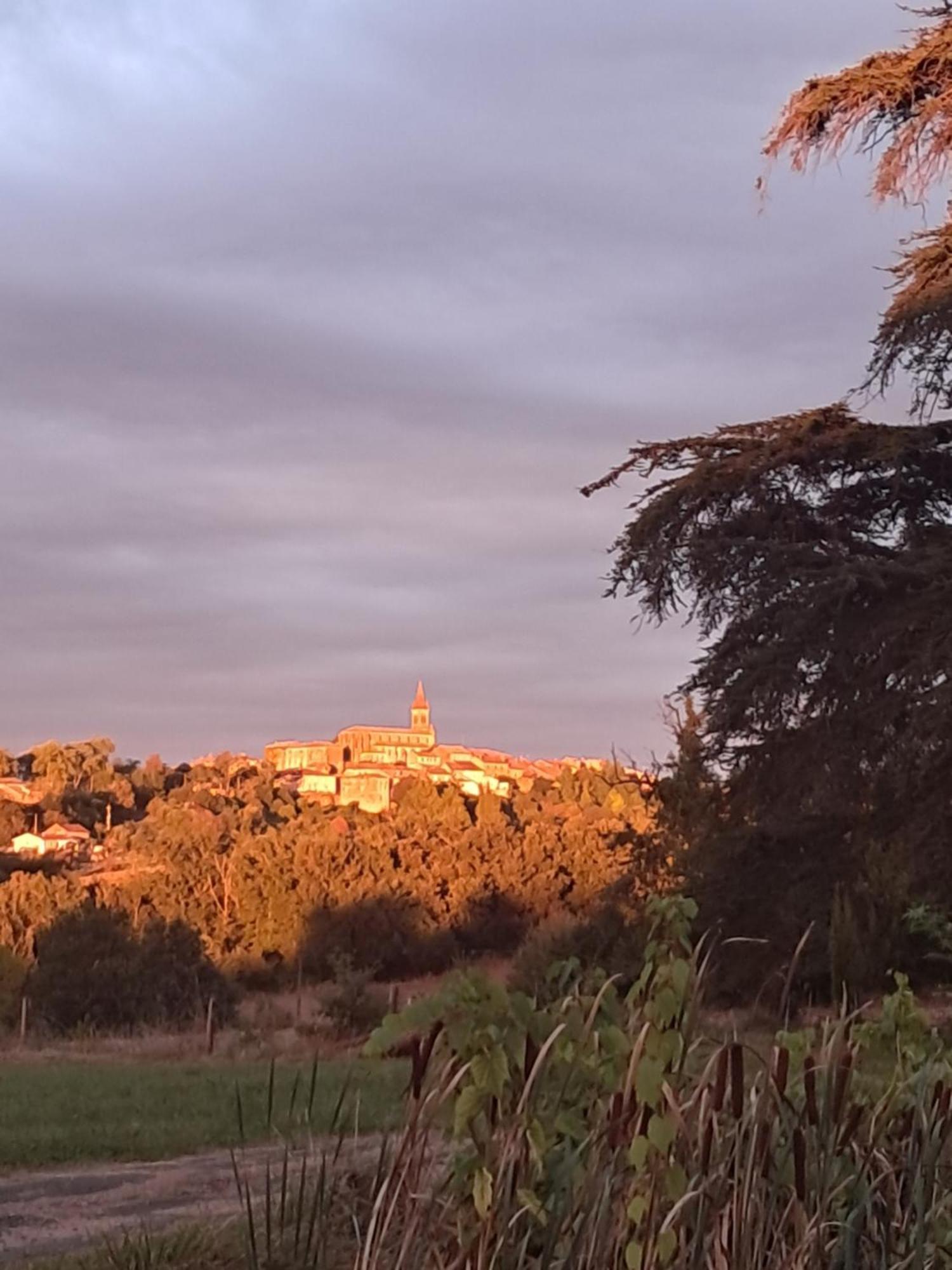 Aux Roses De Cedres Chambre Savane Salvagnac Luaran gambar